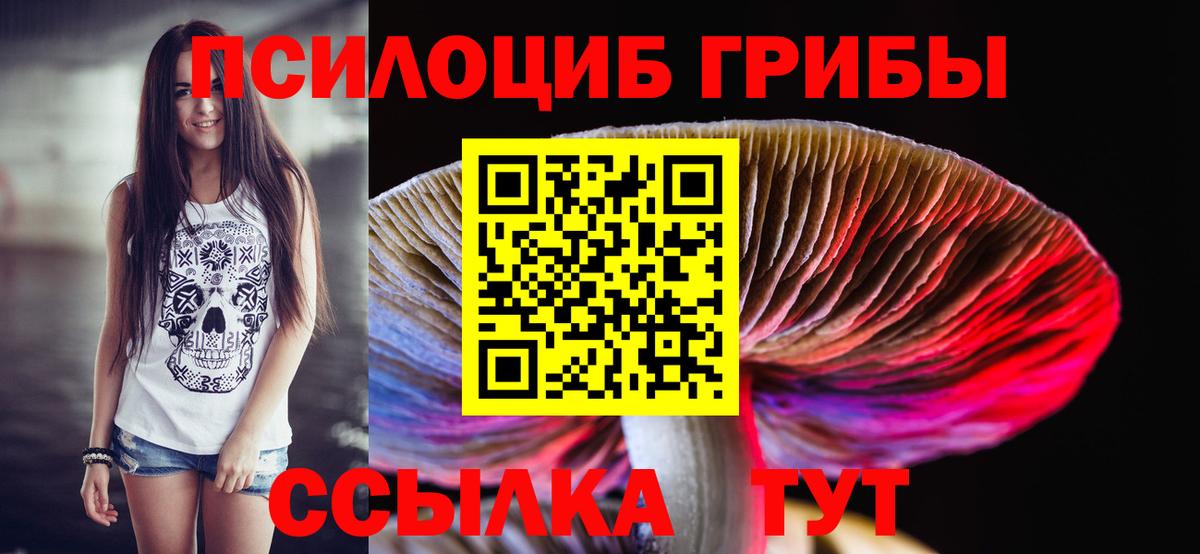 Дербент  цены   Вход с VPN  Псилоцибиновые грибы Cubensis 