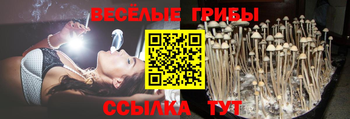 Галлюциногенные грибы ЛСД Дербент