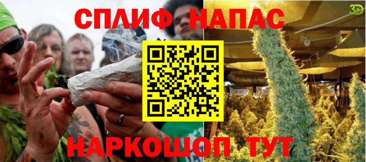 Канабис планчик  Вход с VPN  МАРИХУАНА ГИДРОПОН  Бошки Шишки марихуана  Конопля семена  Дербент 